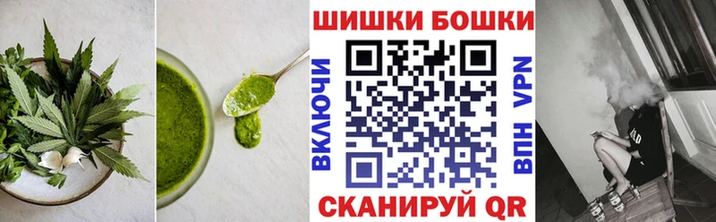 мега ссылки  Болотное  Canna-Cookies конопля 