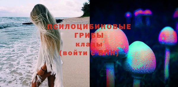 дмт Ладушкин