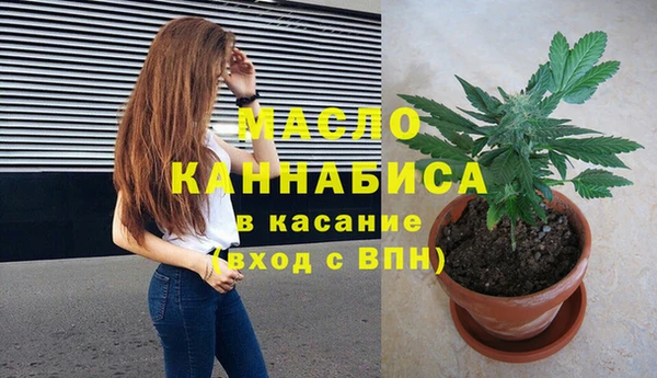 дмт Ладушкин